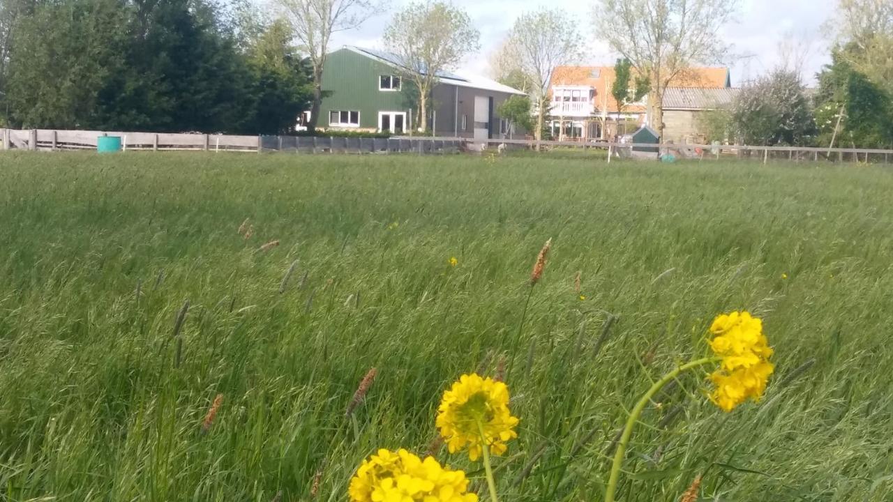 Boerenskuur De Bedstee Groen Assendelft