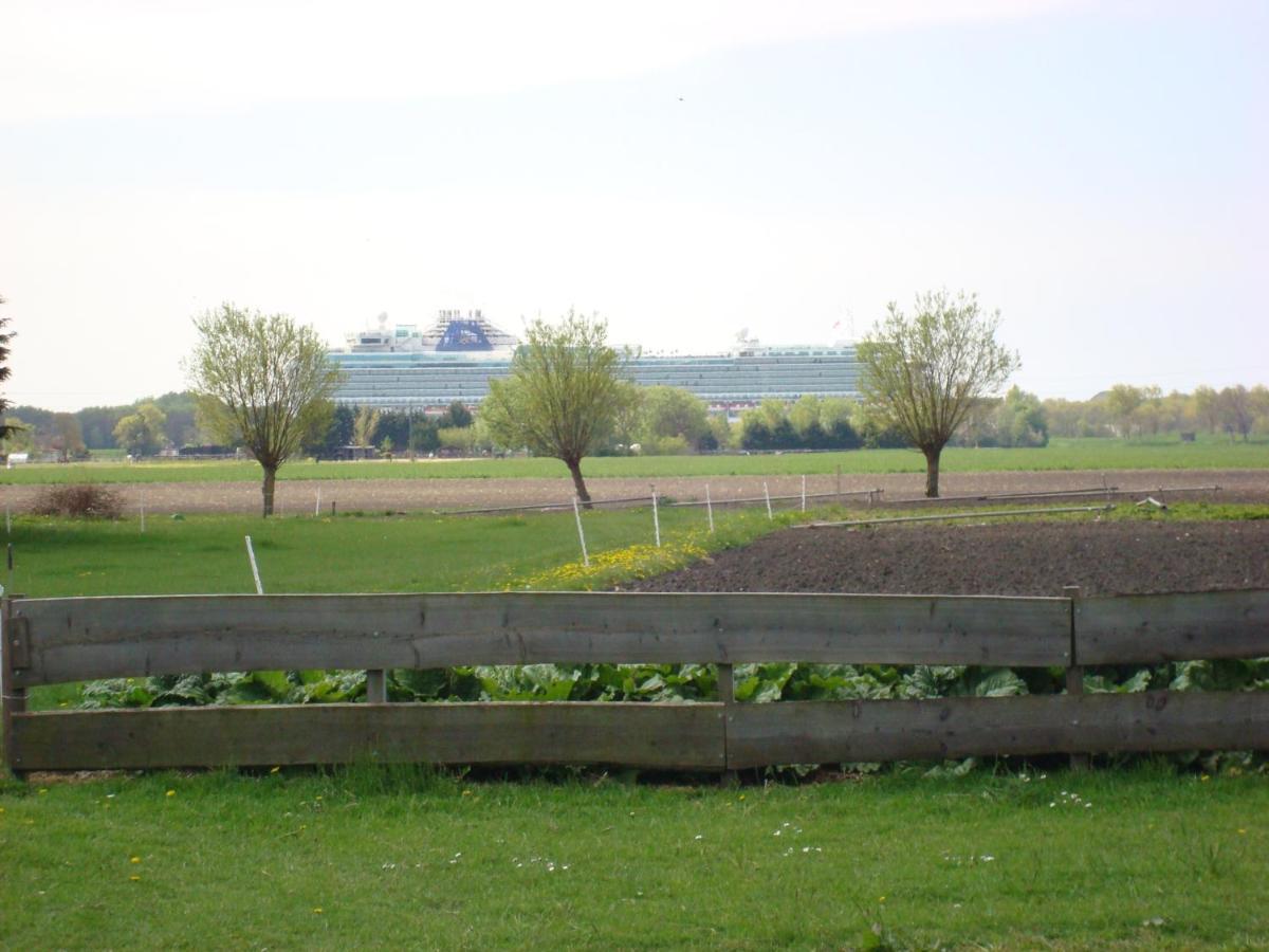 Boerenskuur De Bedstee Groen Apartment Assendelft